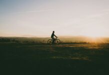 Les vignobles bordelais : une immersion à vélo dans un terroir d’exception